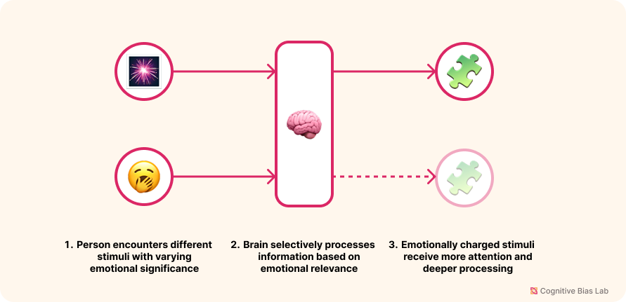 Diagram illustrating how Attentional Bias affects decision-making processes