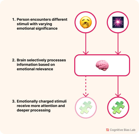Visual explanation of Attentional Bias Diagram illustrating how Attentional Bias affects decision-making processes