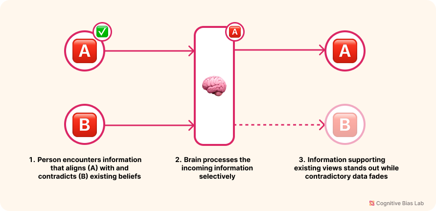 Diagram illustrating how Selective Perception affects decision-making processes